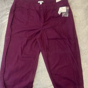 New Fashion Bug Capris!